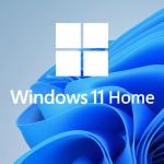 Windows 11