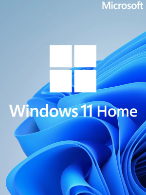 Windows 11