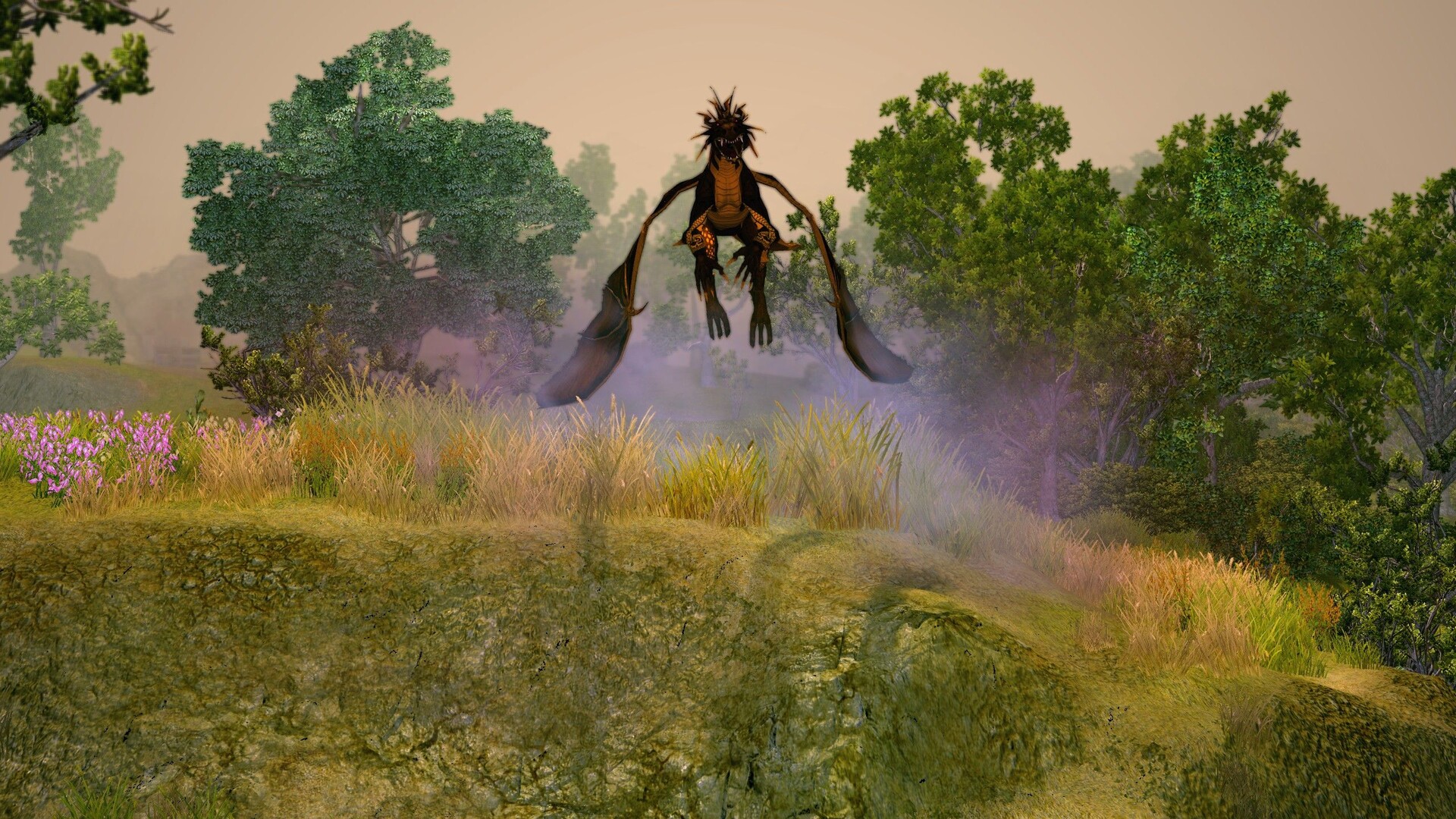 Sacred 2 Remaster — изображение 2