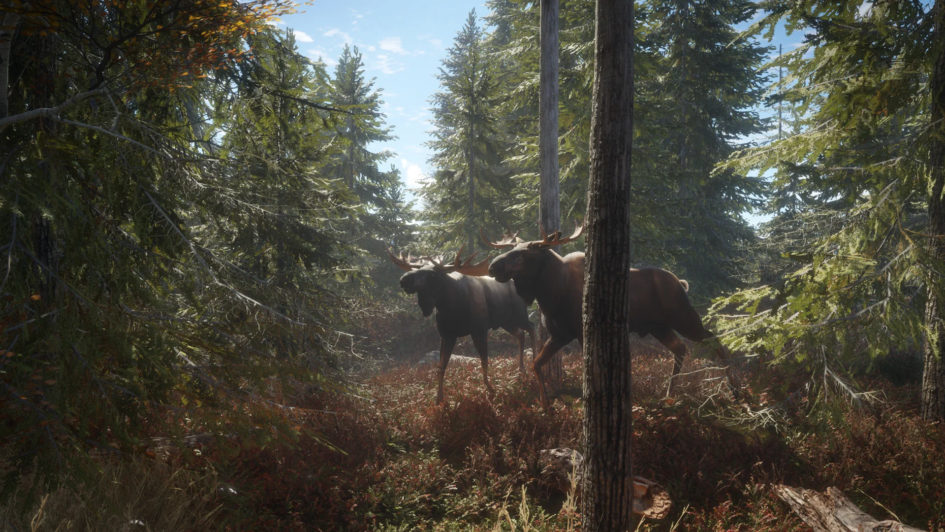 theHunter: Call of the Wild™ — изображение 2