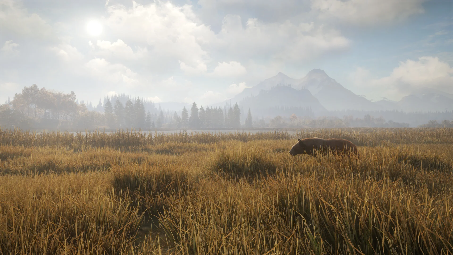 theHunter: Call of the Wild™ — изображение 3