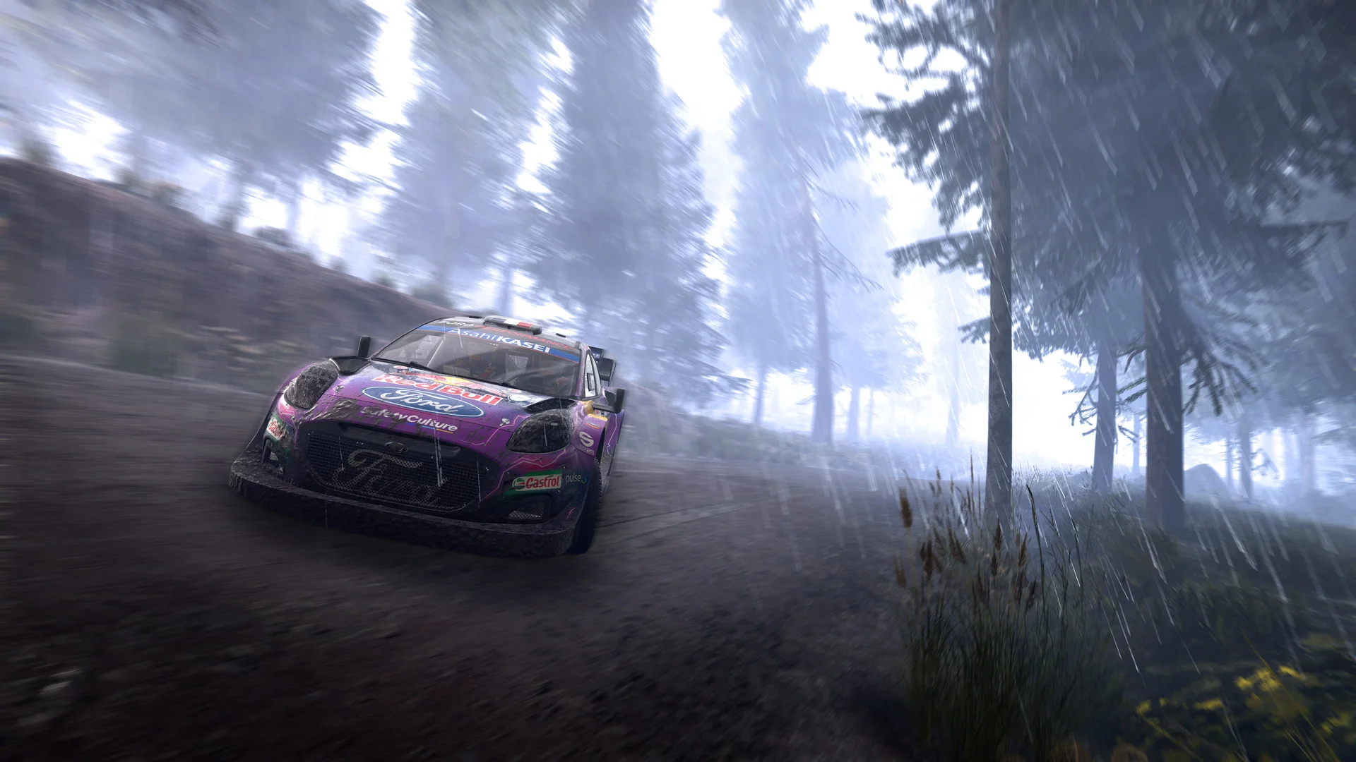 WRC Generations – The FIA WRC Official Game — изображение 3
