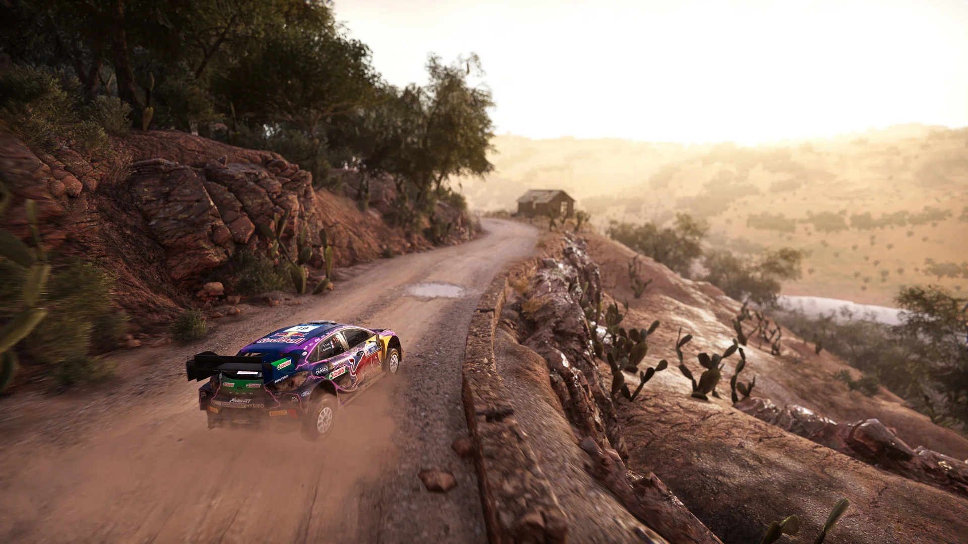 WRC Generations – The FIA WRC Official Game — изображение 2