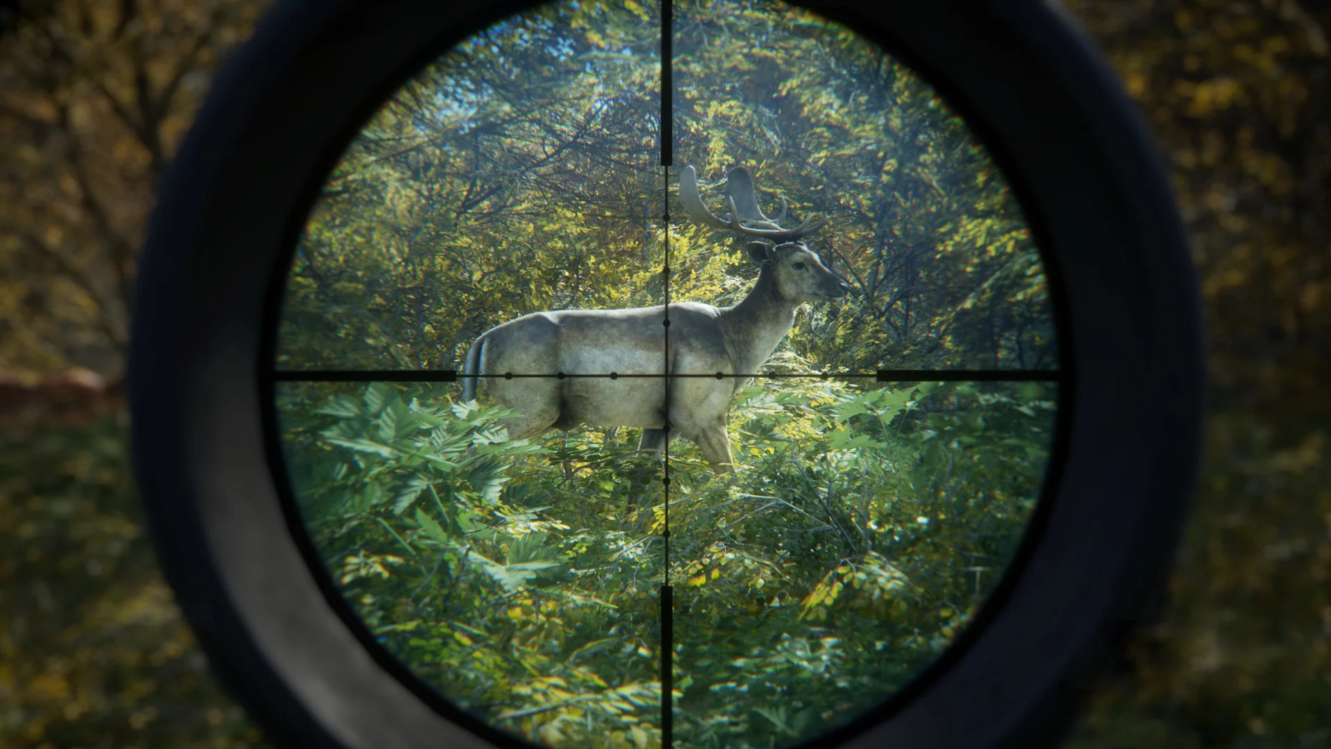 theHunter: Call of the Wild™ — изображение 4